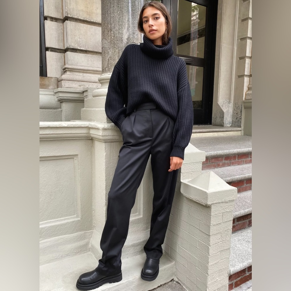 Aritzia Babaton Swift Pant